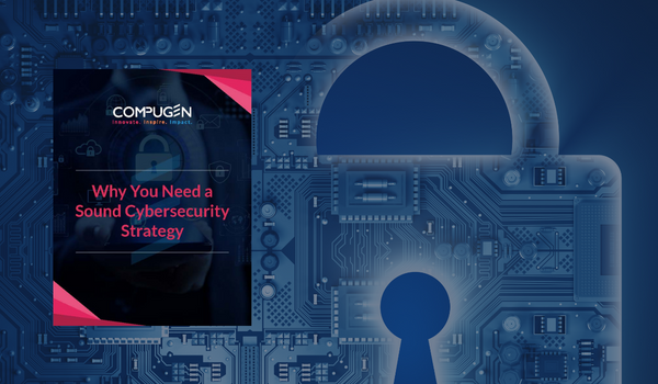White Paper: Why You Need a Sound Cybersecurity Strategy